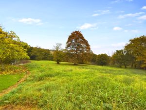 ADJACENT FIELD & LAND- click for photo gallery